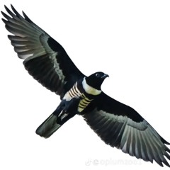 Donzino💤🕯️⚔️