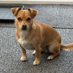 Benson