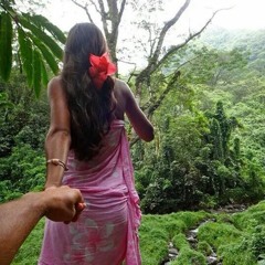 🌺