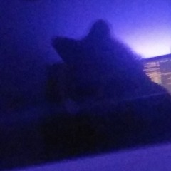 ThisUserIsMax