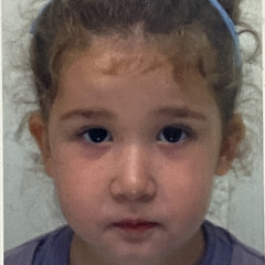 sesili songulashvili