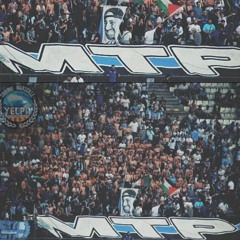 MVR13