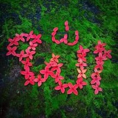 ﺍﻳﺎﺩ ﺣﺒﻴﺒﻲ ﺍﺣﻤﺪ