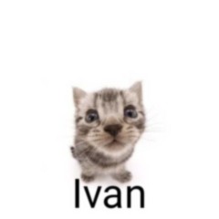 Ivan4iks