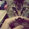leooBv