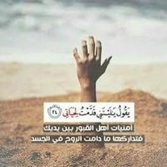 محمد علاء الدين
