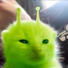 r4vealln1ght