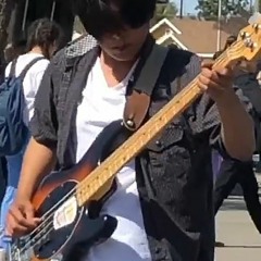 Pacingtigers