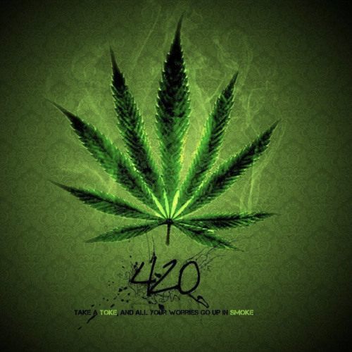 WEED IS GOOD FOR YOU!!!’s avatar