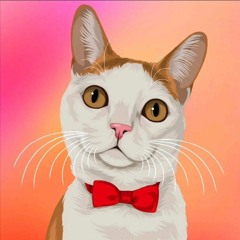 JD meow Dj..🫠💯