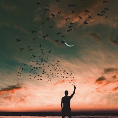 بدر الدين بدر