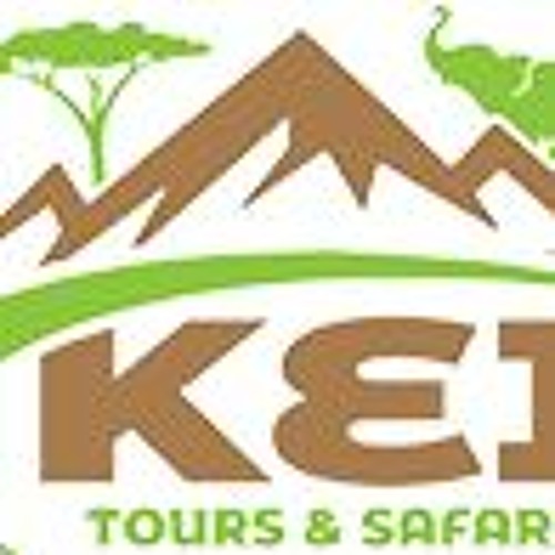 Discover the Best Time for Kilimanjaro Climb and Safari Packages