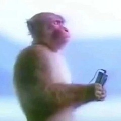 B0MB3RB1DR0