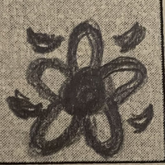 nisaxo