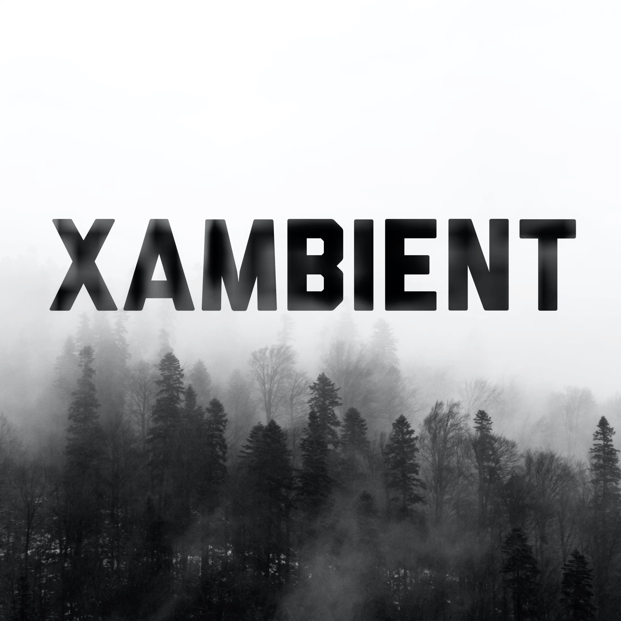 XAMBIENT