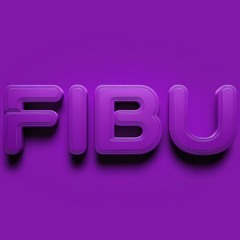 FiBu