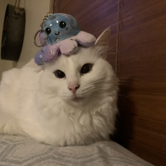 Cloudix