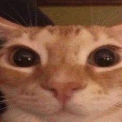 Fokinf