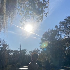 Ojisunshine