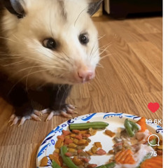 hugo_