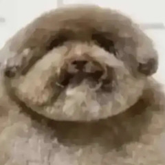 juggmelon