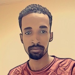 Siddig FDlallah