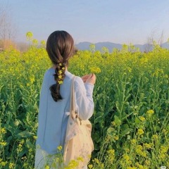 nabi🦋.