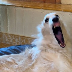 me