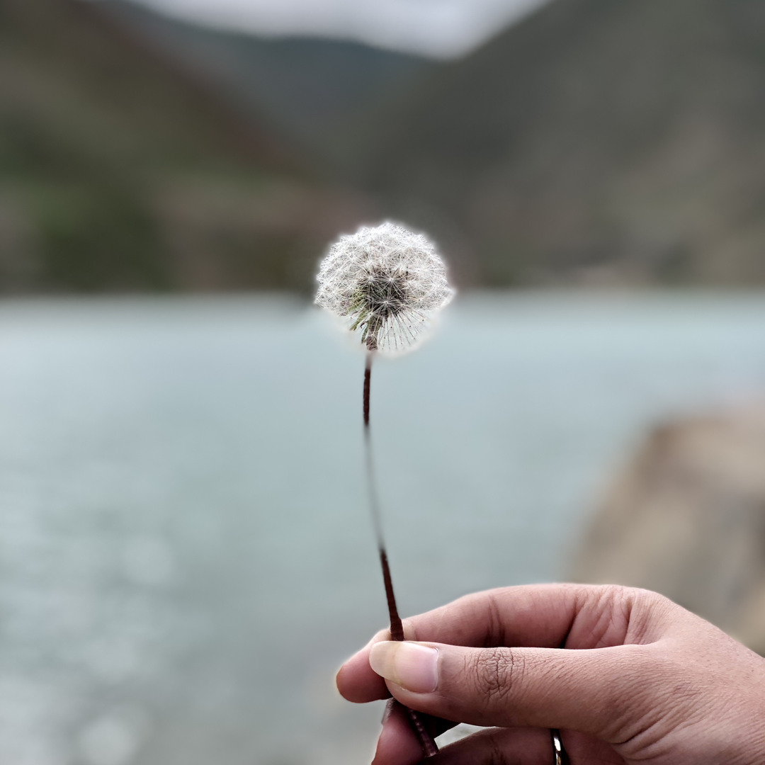 Listen to Sona Tu Metho Door Ho Gaya Hoke Sajan Majboor Gya Hai by Tooba  Khalid in new playlist online for free on SoundCloud