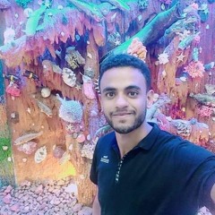 Ibrahim elaidy