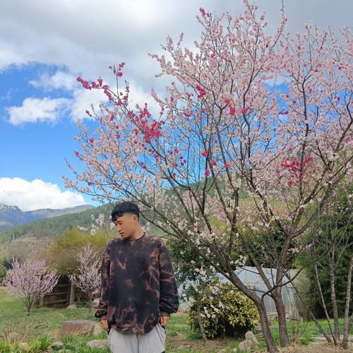 Stream ẞin Gæy Phubu music | Listen to songs, albums, playlists for ...
