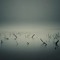 Empty