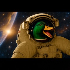 🛸🦆Spaceduck.🦆🛸