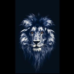 dj lion
