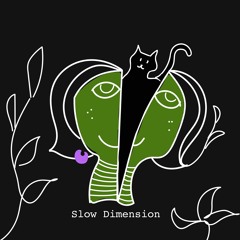 Slow Dimension