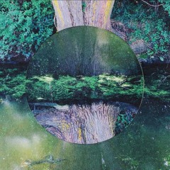 Ⓝ
