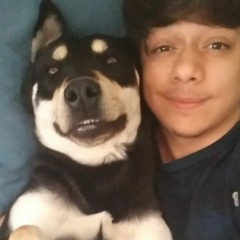 Thomasmrk7