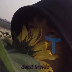 𝓢𝓱𝓲𝓾 𝓭𝓪𝓷𝓰 𝓫𝓾𝓸̂̀𝓷