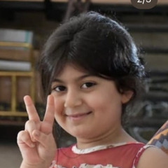 Amin Heydari