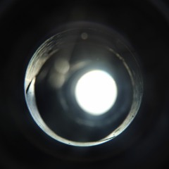 sfal