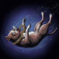 k9 BASS