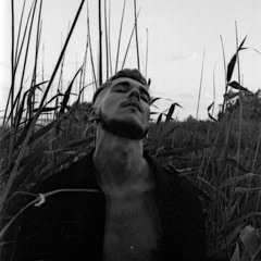 dmitry sipivy
