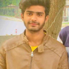 Malik Zaeem
