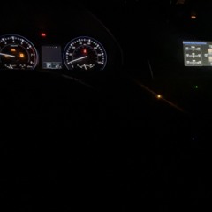 •BUD WEISER•🍺