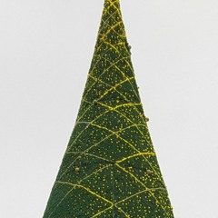 Ирина Рогозина