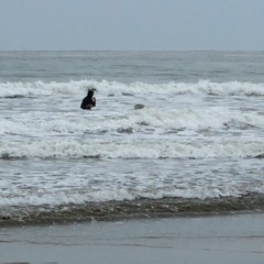 A few Waves