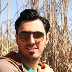 Alireza Majlesi