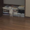 MH