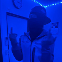 Blue hawk