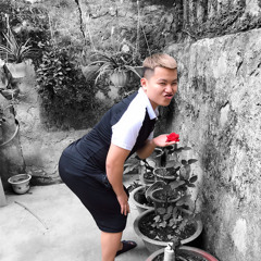 Hiếu Tròn